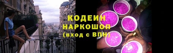 прущие грибы Богородицк