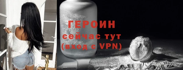 прущие грибы Богородицк
