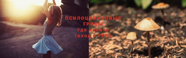 первитин Бежецк