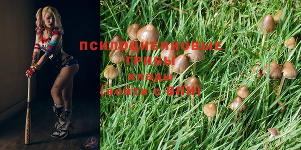 мяу мяу кристалл Богданович