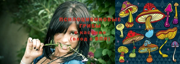 прущие грибы Богородицк