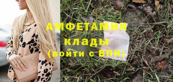 прущие грибы Богородицк