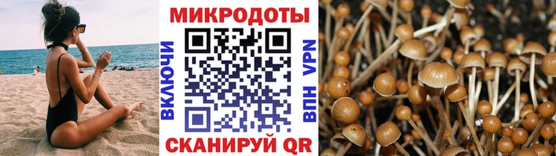 Псилоцибиновые грибы Psilocybe  Демидов 