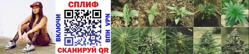 Шишки марихуана Ganja  Демидов 